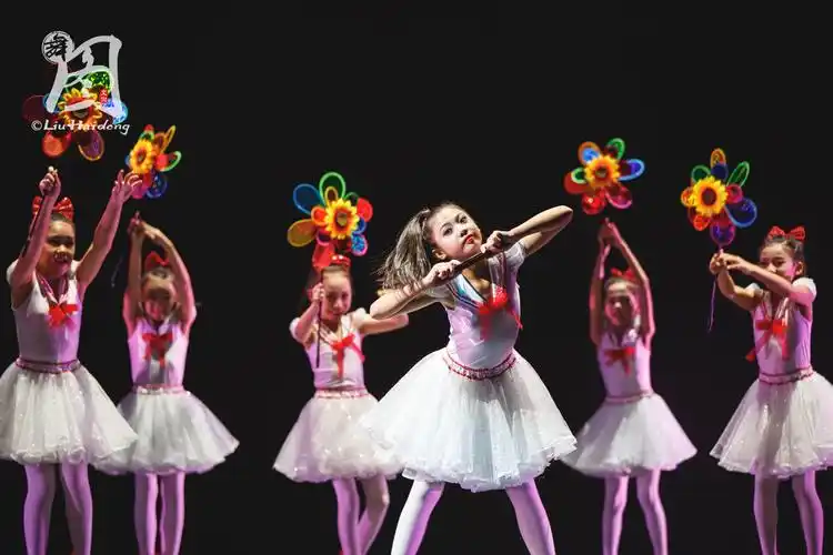 第九届"小荷风采"全国少儿舞蹈展演 第五场 摄影@舞蹈中国-刘海栋