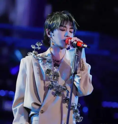 华晨宇个人资料 华晨宇到底是怎样一个人-蟋蟀号